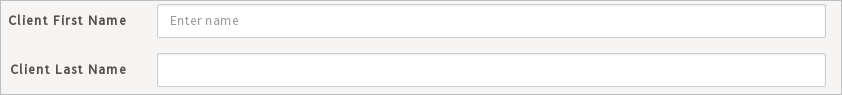 ExampleDynaformForJavaScript.png